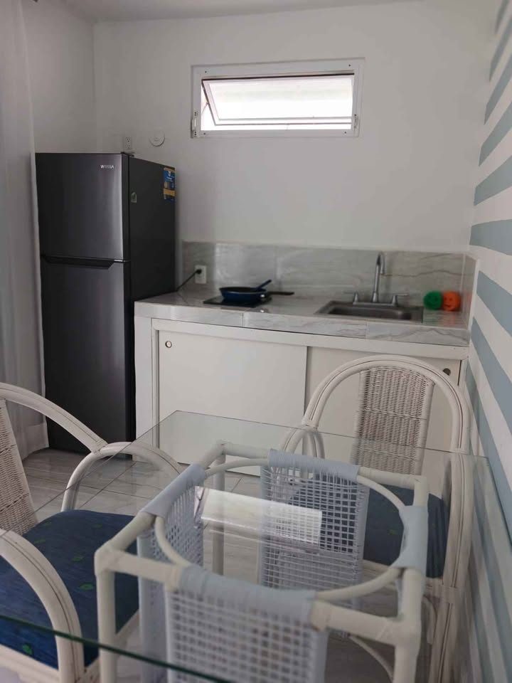 1 habitación 1 baño - Departamento 2