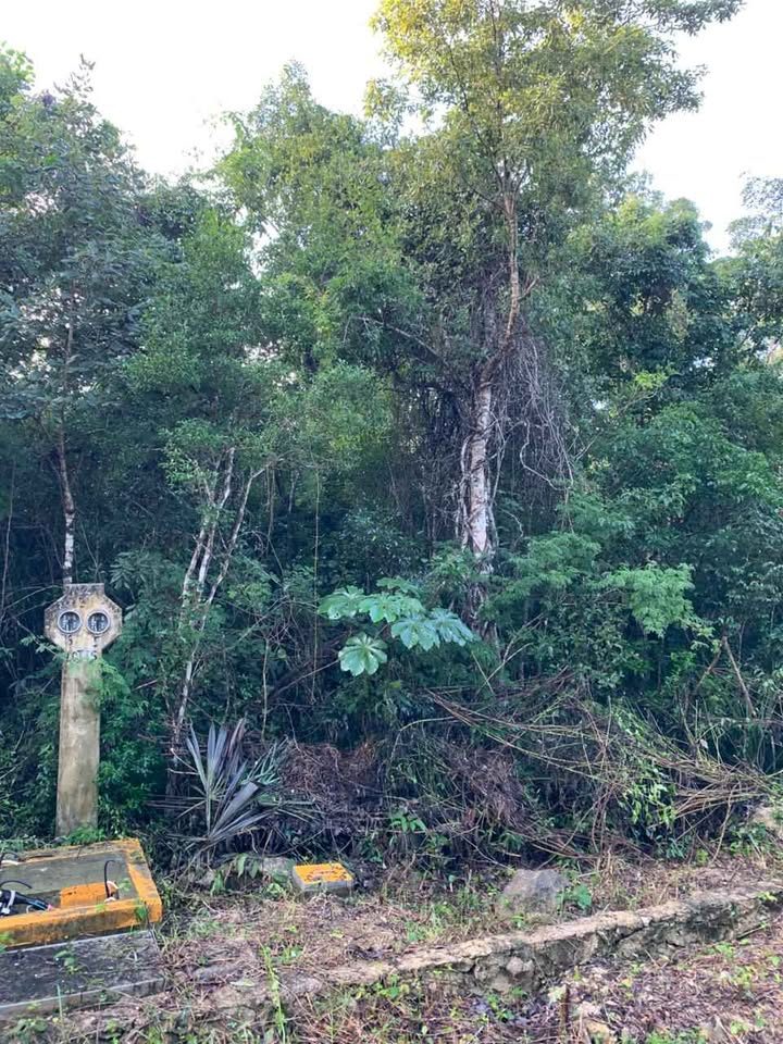 Monoambiente 0 baños - Casa 3
