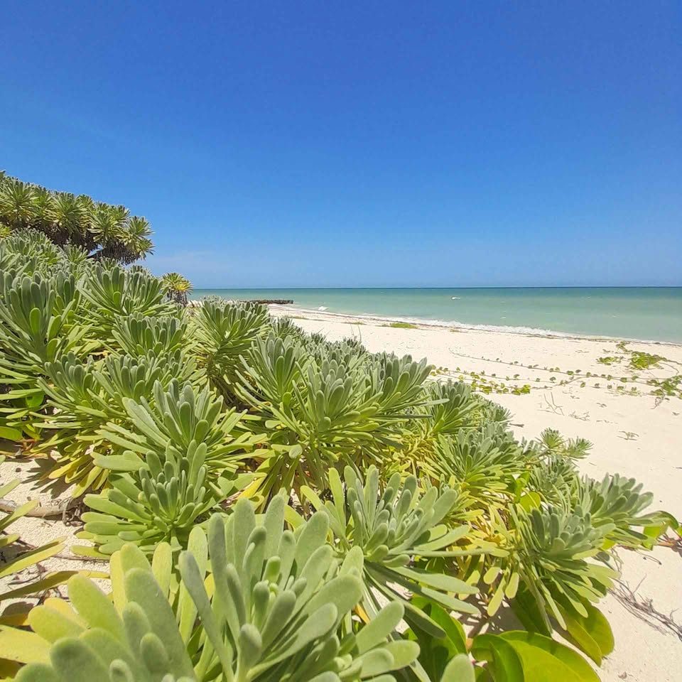 RENTA orilla de la playa CON Piscina 2