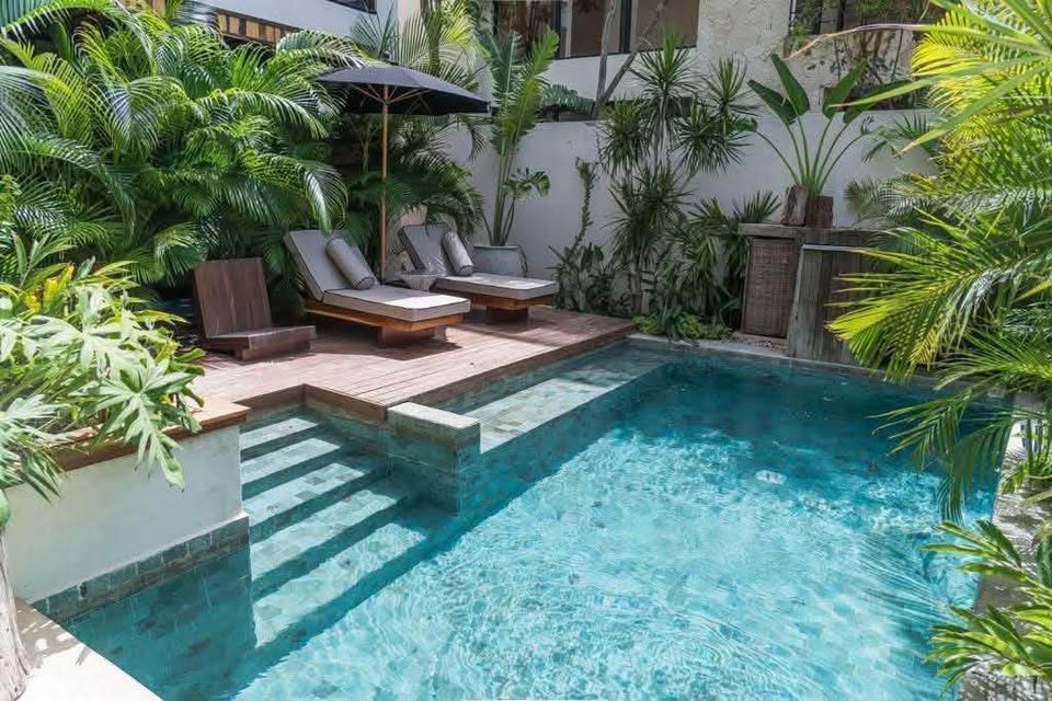 1 Bed 1 Bath - Apartment 2