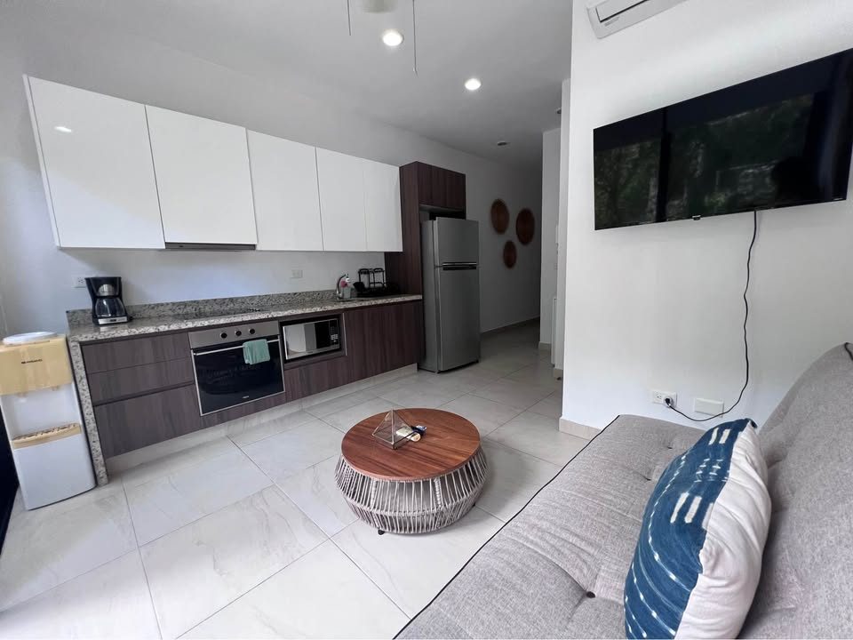 1 habitación 1 baño - Departamento 2