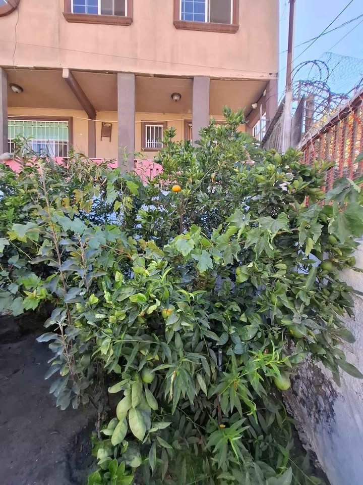 4 habitaciones 2 baños - Casa 3