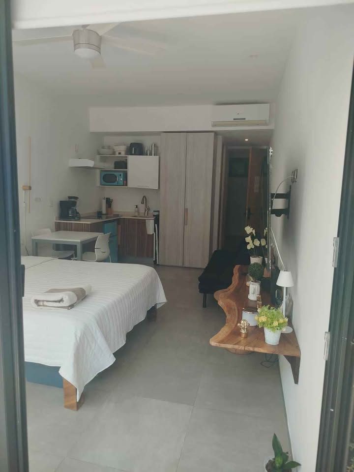 1 habitación 1 baño - Departamento 3