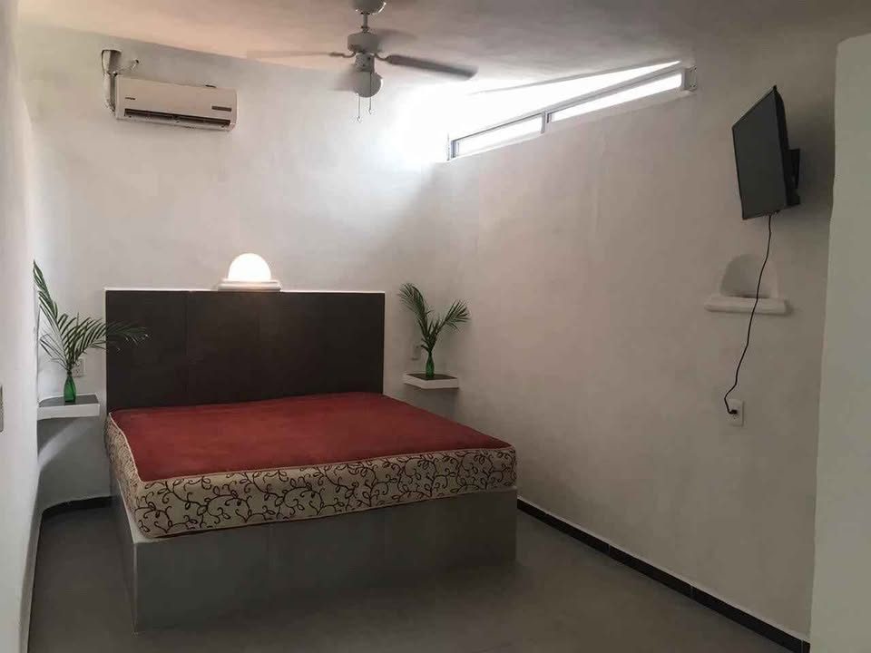 1 habitación 1 baño - Departamento 2