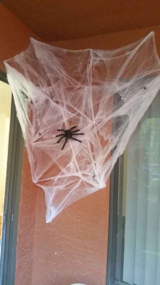 Telaraña decorativa 2