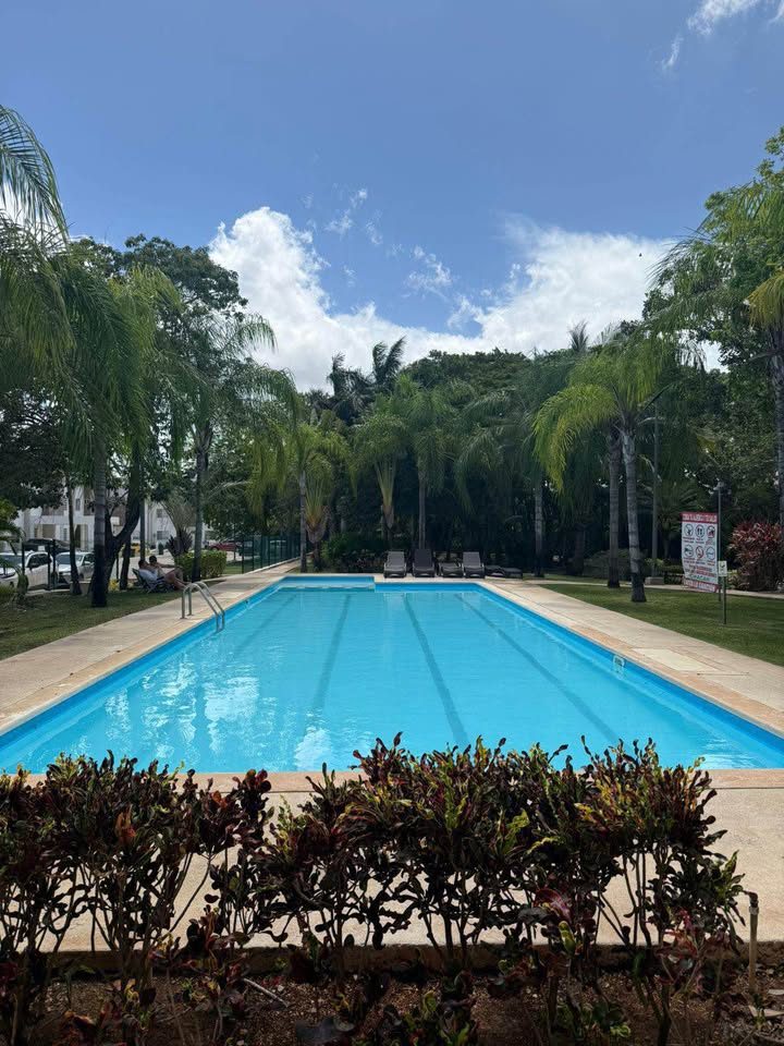 4 Beds 3 Baths - House 2