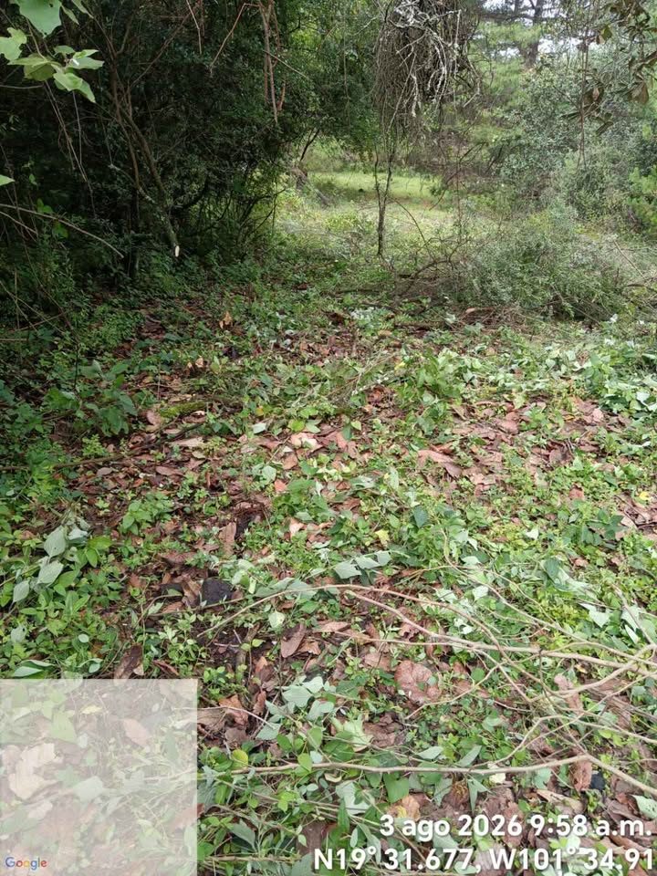 Monoambiente 0 baños - Casa 3
