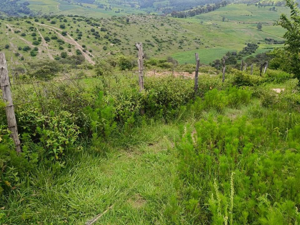 Terrenos campestres, con Exelente plusvalía de 400 y 800 mts2 3