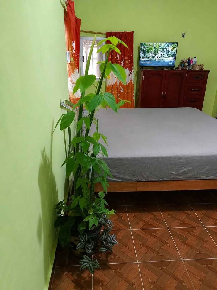 3 habitaciones 3 baños - Casa 2