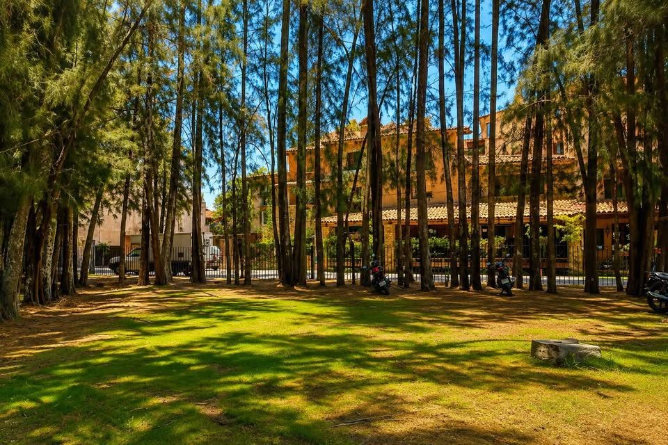 Terreno en venta · 326 m² · Puebla 3
