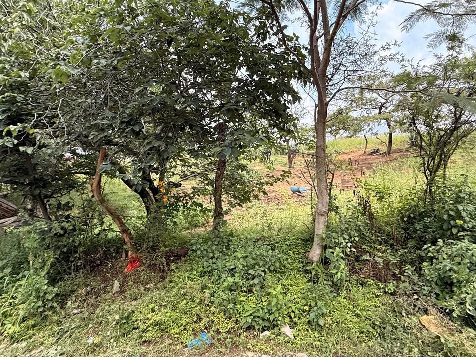 Monoambiente 0 baños - Casa 3