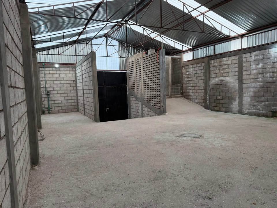 Bodega en renta · 300 m² · San Isidro Miranda 2