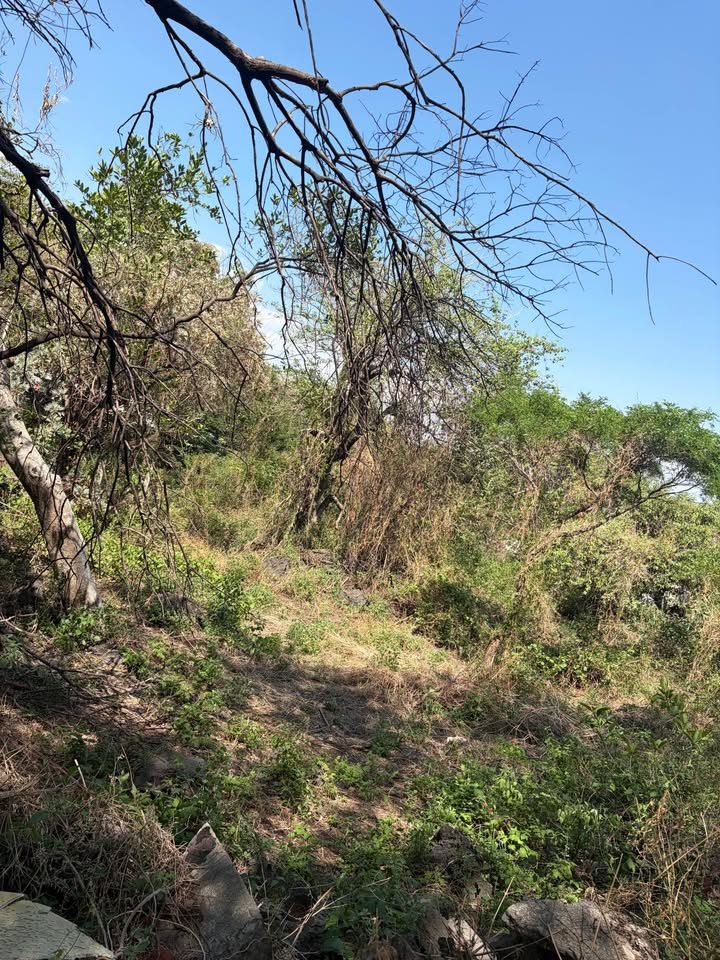 Terreno en San Martín 2