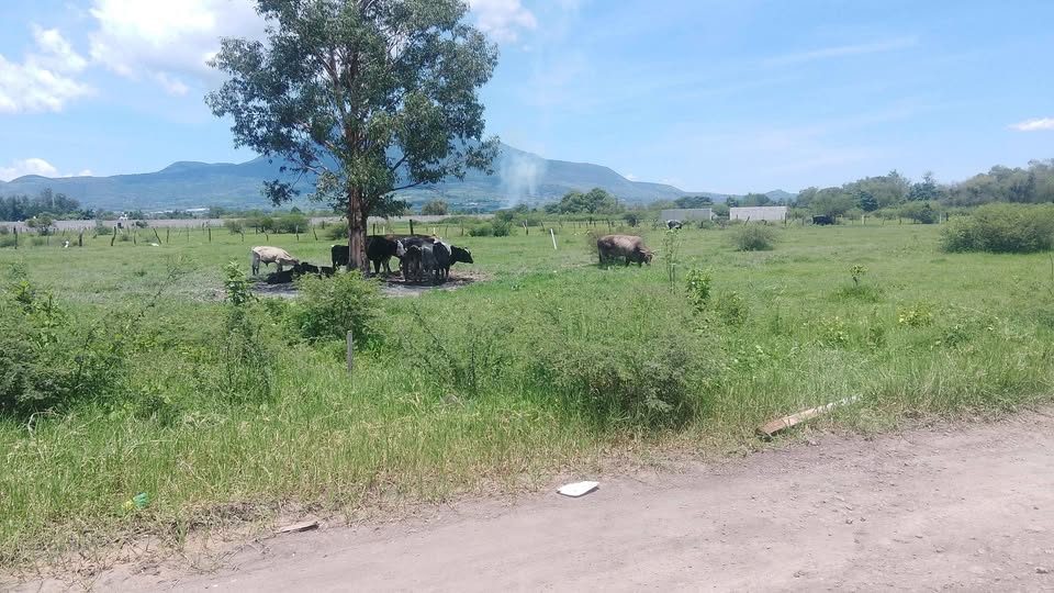 Terreno en venta · 102 m² · Xalisco 2
