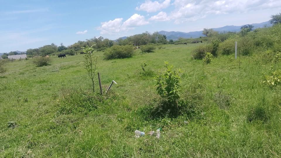 Terreno en venta · 102 m² · Xalisco 3