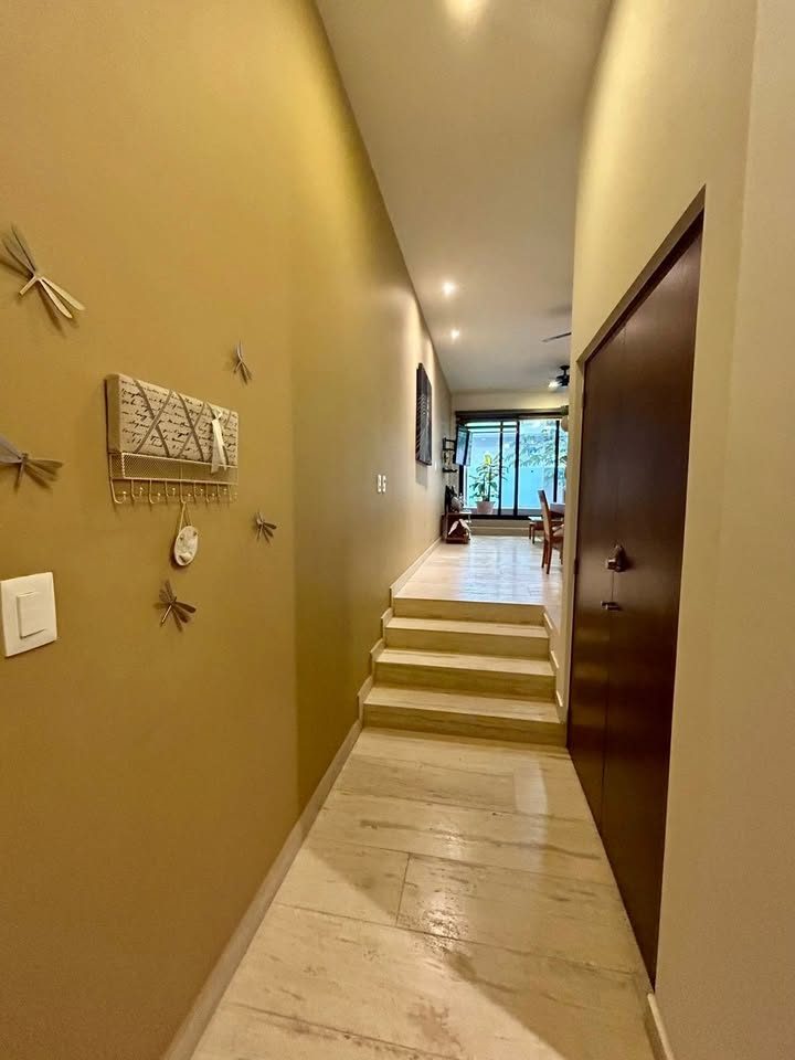 1 Bed 1 Bath Apartment 3