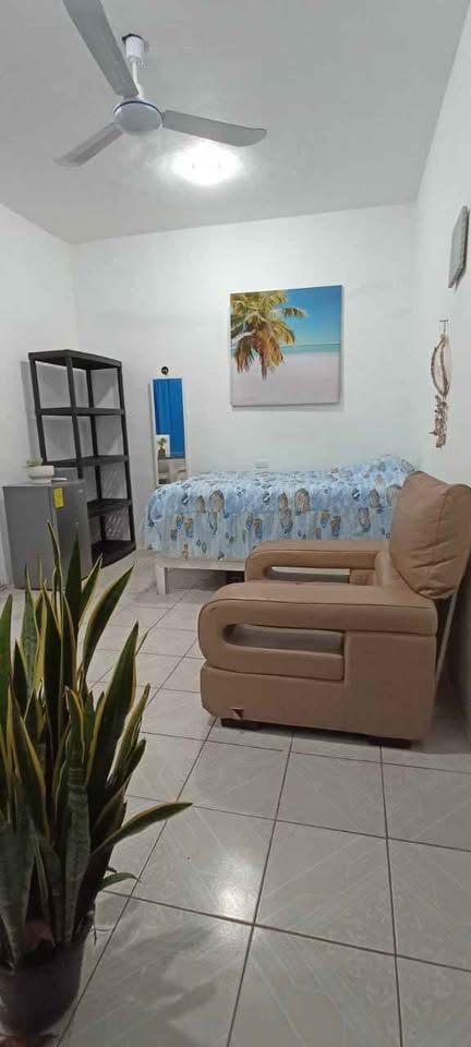 1 habitación 1 baño - Departamento 3