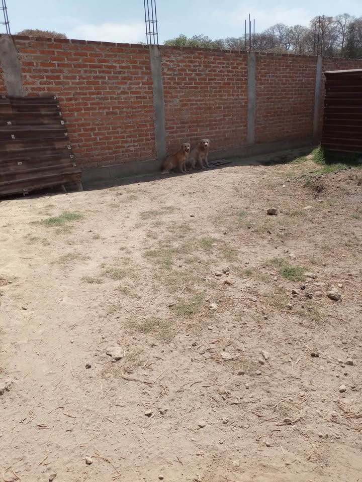 Monoambiente 0 baños - Casa 3