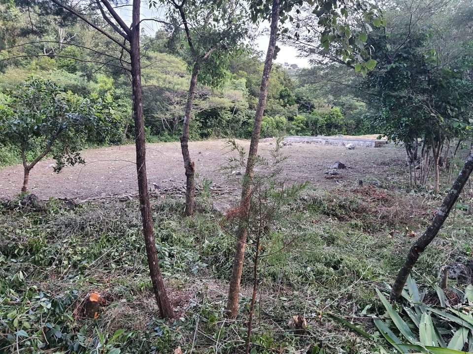 Monoambiente 0 baños - Casa 2