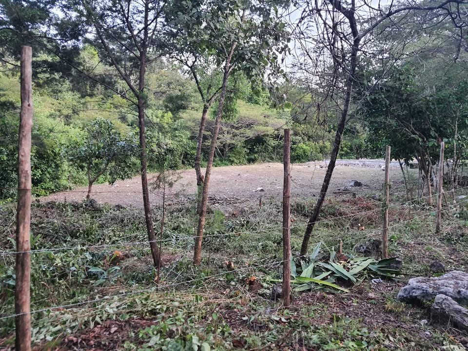 Monoambiente 0 baños - Casa 3