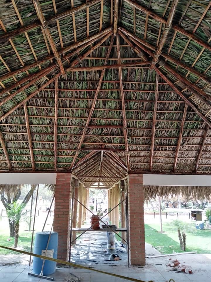 Palapas 3