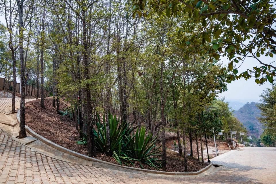 Monoambiente 0 baños - Casa 2