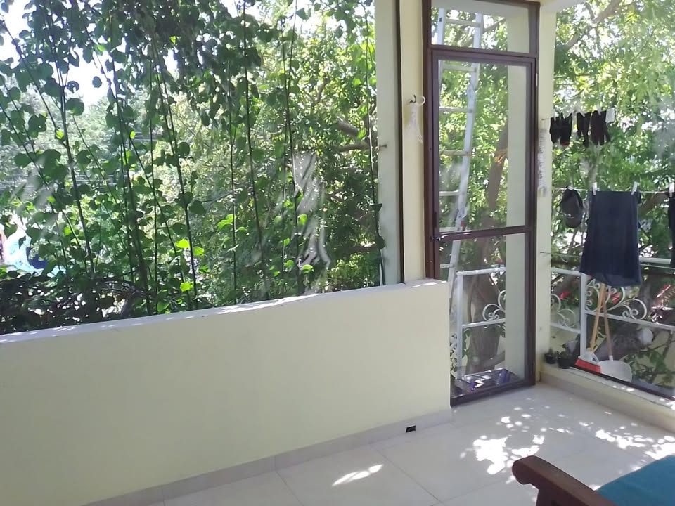 1 habitación 1 baño Casa 3