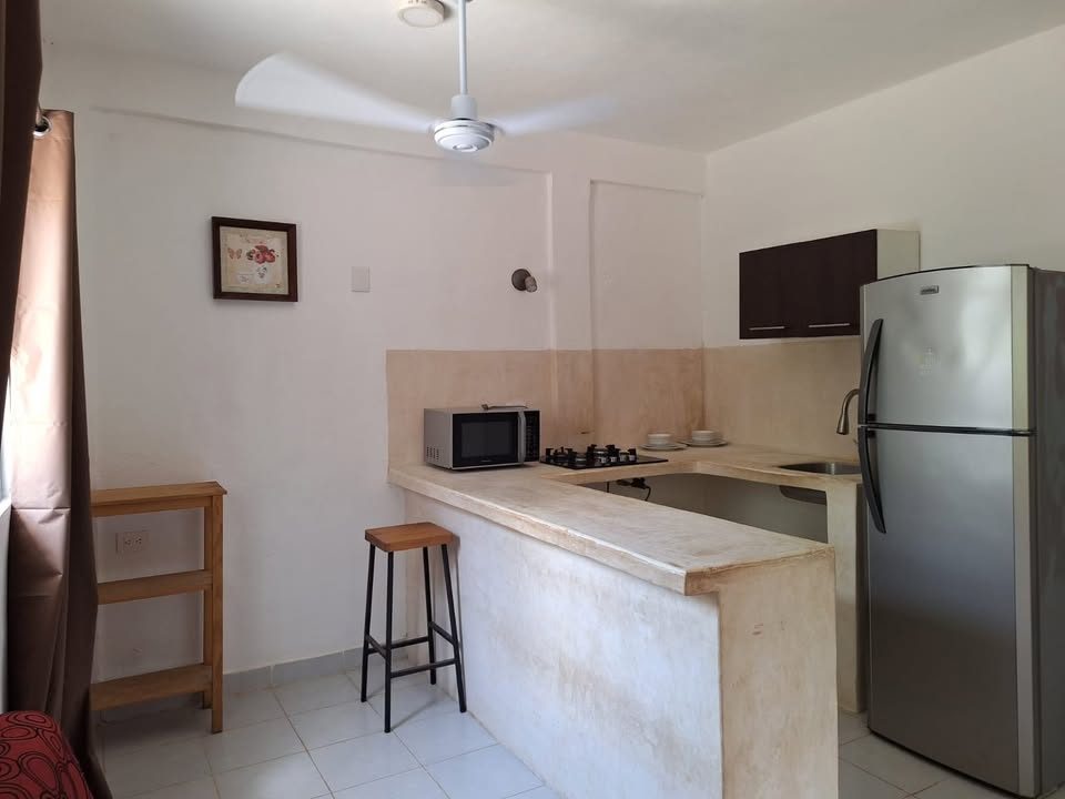 1 habitación 1 baño Departamento 2