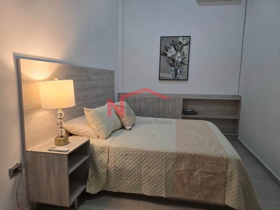 1 habitación 1 baño - Departamento 2