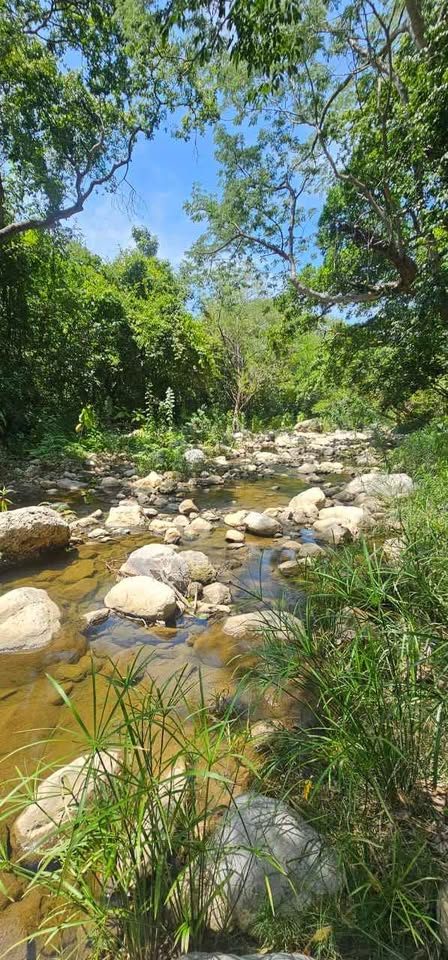Hectáreas en Venta en Chiapa de Corzo 3