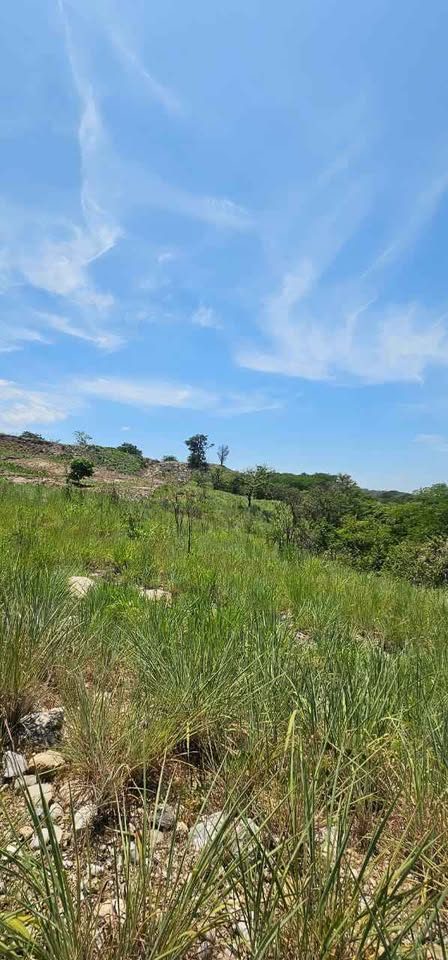 Hectáreas en Venta en Chiapa de Corzo 2