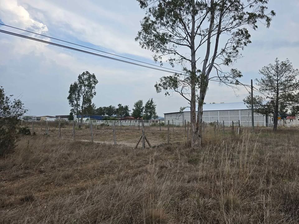 lotes en venta en trinitaria en carretera que va a coopalar 2