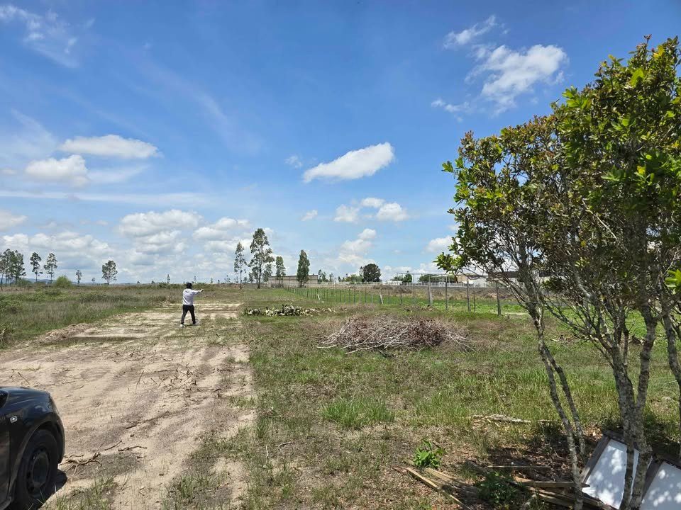 lotes en venta en trinitaria en carretera que va a coopalar 3