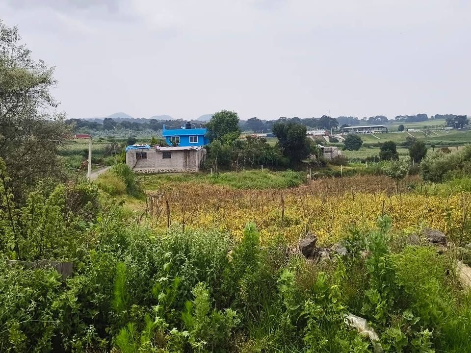 VENTA DE TERRENOS EN TEPETLIXPA 2