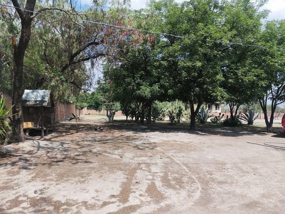 Rancho en venta · 10 000 m² · Aguascalientes 3