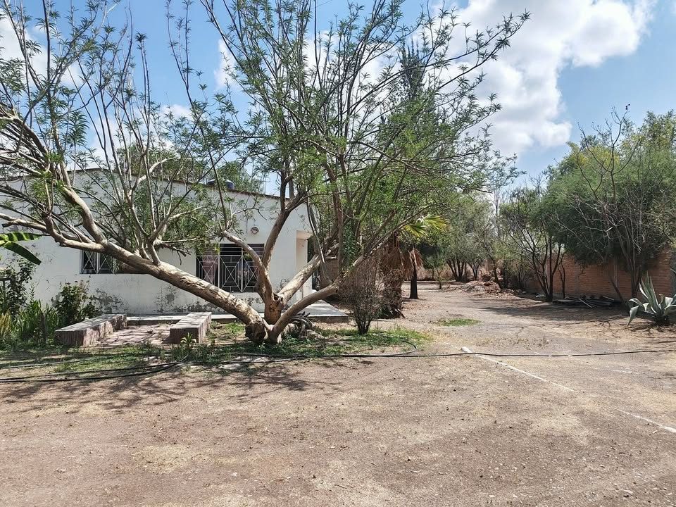 Rancho en venta · 10 000 m² · Aguascalientes 2
