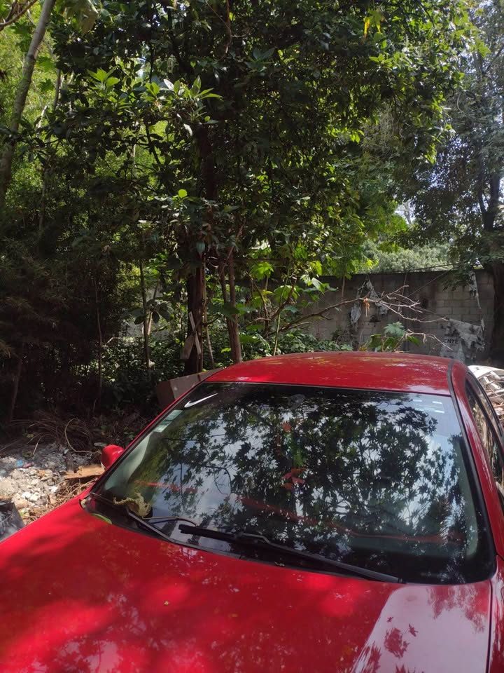 Monoambiente 0 baños - Casa 3