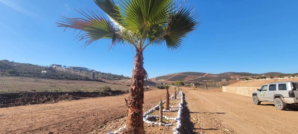 Adquiere tu  terreno rodeado de la  naturaleza rusticos 100% seguro sin salir de Tijuana.
En Rancho Santo Domingo 
contamos con terrenos de 1000m² con increibles paisajes perfecto   pa 2