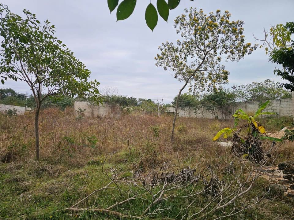 Monoambiente 0 baños - Casa 3