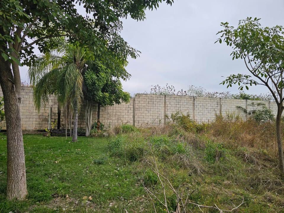 Monoambiente 0 baños - Casa 2