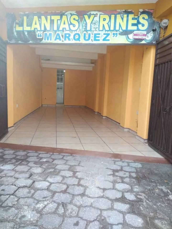 Local Comercial 3
