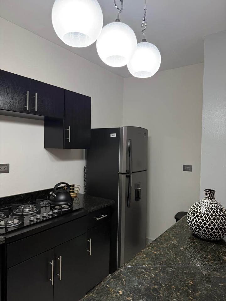 Departamento en renta 2