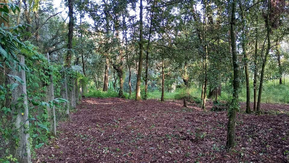 Monoambiente 0 baños - Casa 3