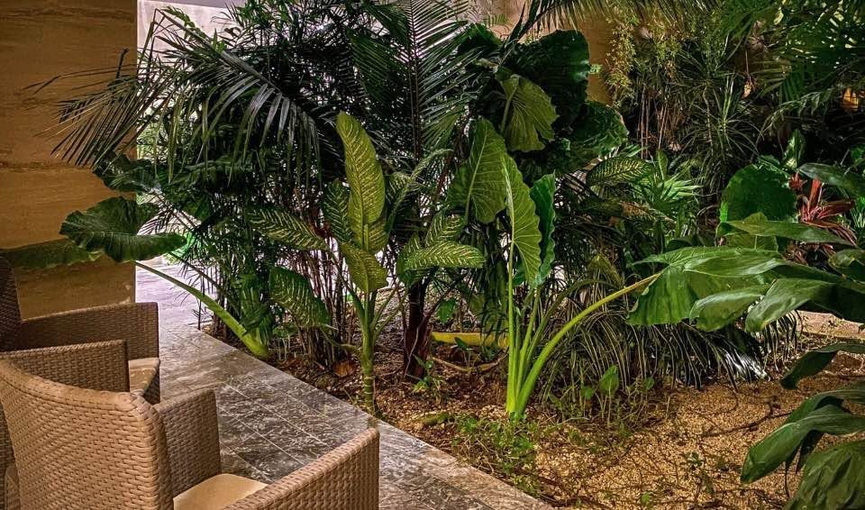 2 Beds 2 Baths - Townhouse 3
