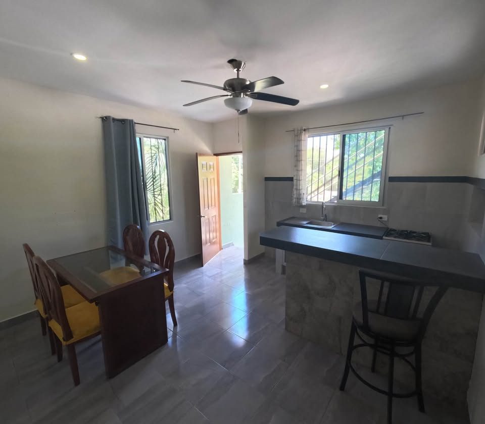 1 Bed 1 Bath - Apartment 3