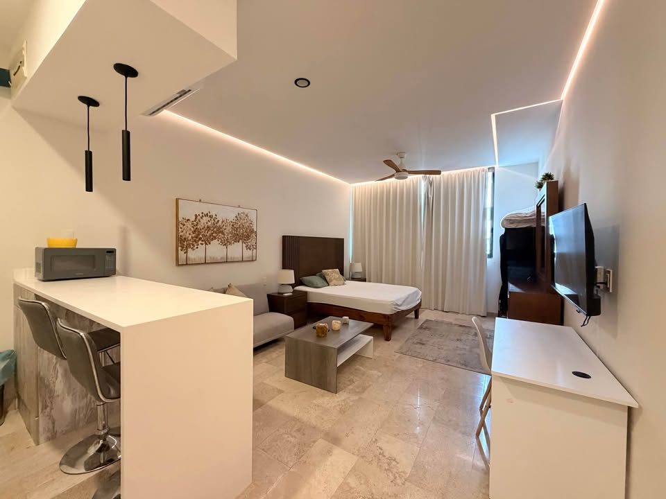 1 habitación 1 baño - Departamento 3
