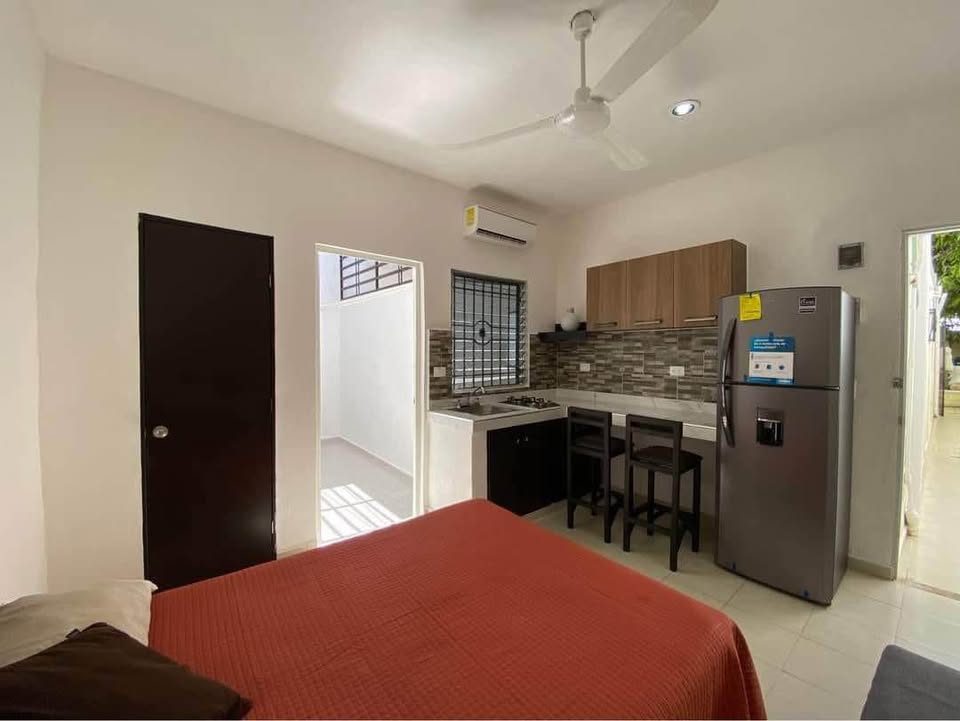 1 habitación 1 baño - Departamento 3
