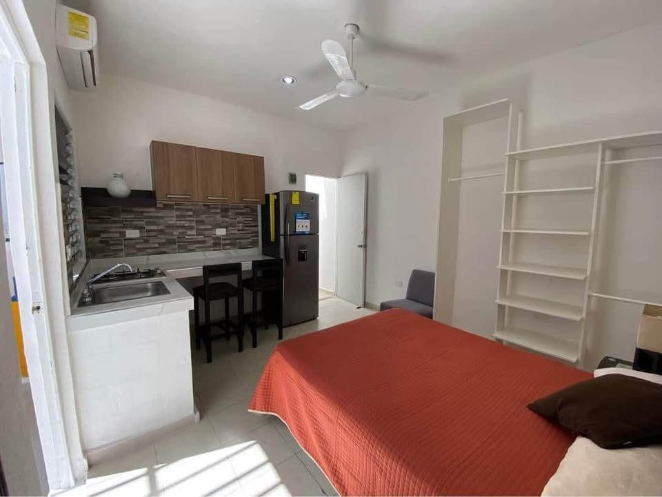 1 habitación 1 baño - Departamento 2