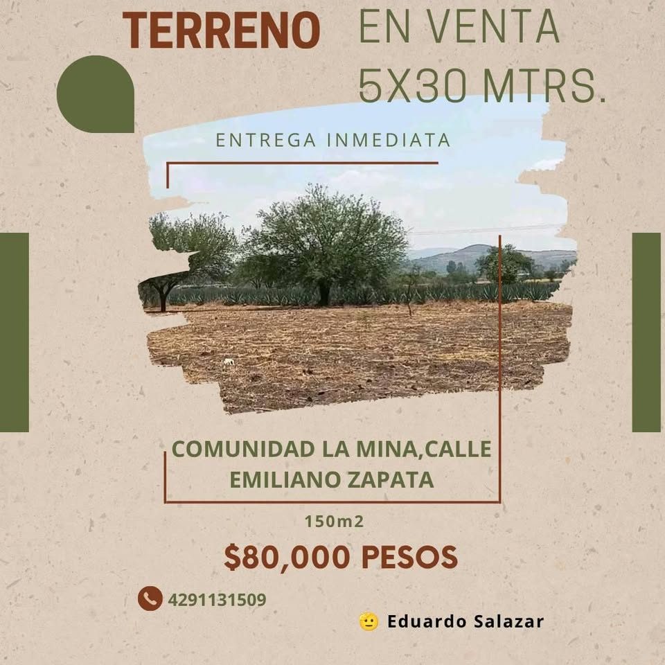 Terreno 3