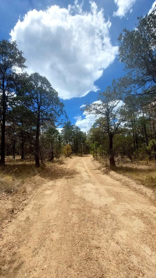 Terreno en venta · 1 000 m² · Durango 3